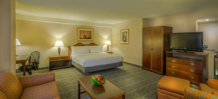Holiday Inn 阿灵顿的AT巴尔斯顿(Holiday Inn Arlington at Ballston)图片