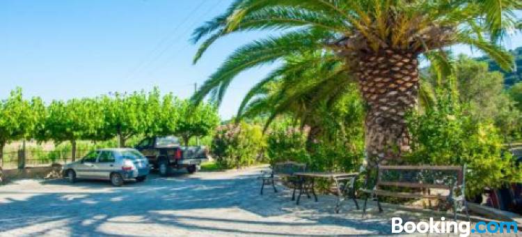 Eleni's Studios图片