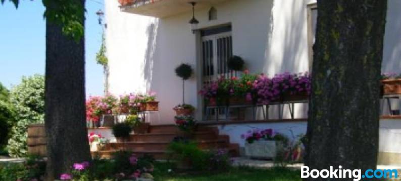 卢塞住宿加早餐旅馆(B&B Casa Losea)图片