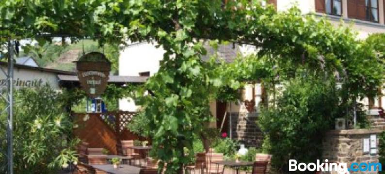 豪斯曼旅馆(Ferienweingut Villa Hausmann)图片