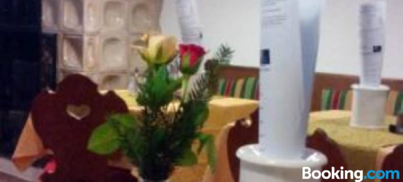 贝姆旅游酒店(Tourist Hotel Boehm)图片