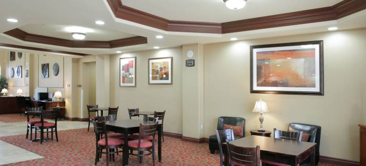 舒适套房酒店-普弗拉热维尔奥斯汀北(Comfort Suites Pflugerville - Austin North)图片