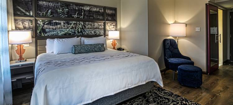 英迪格酒店伯明翰五点南 - 阿拉巴马大学伯明翰分校 by IHG(Hotel Indigo Birmingham Five Points S - UAB)图片