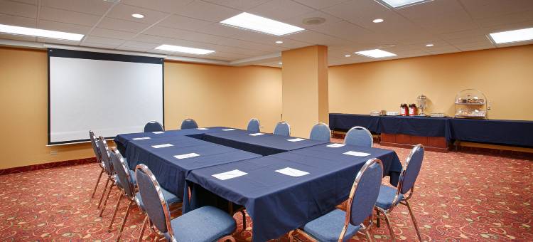 市区贝斯特韦斯特优质套房酒店(Best Western Plus Suites Downtown)图片