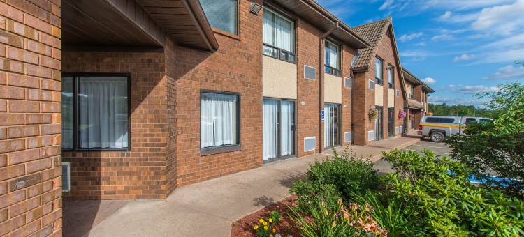 舒适酒店(Comfort Inn)图片