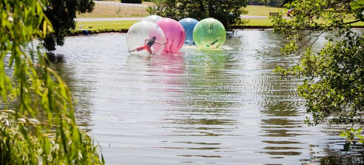 布鲁肯科特酒店(Brockencote Hall)图片