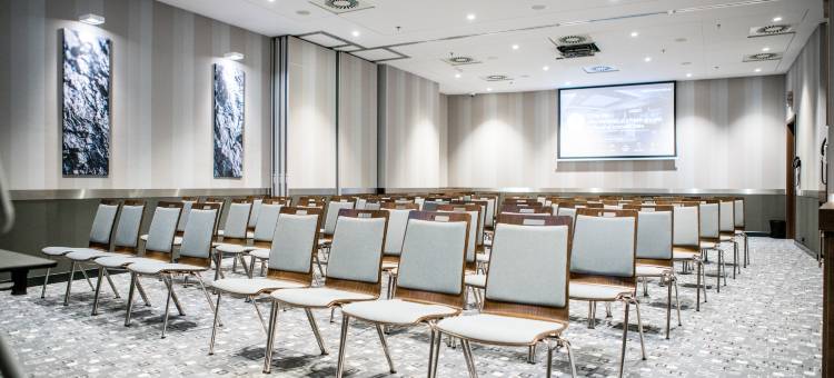 假日酒店-栋布罗瓦古尔尼恰(Holiday Inn Dabrowa Gornicza-Katowice)图片