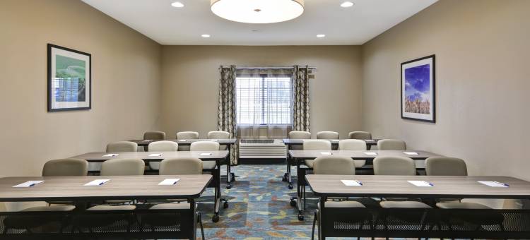 士麦那Candlewood Suites(Candlewood Suites Smyrna - Nashville)图片