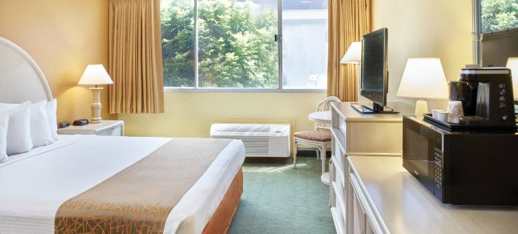 Airport Honolulu Hotel(Airport Honolulu Hotel)图片