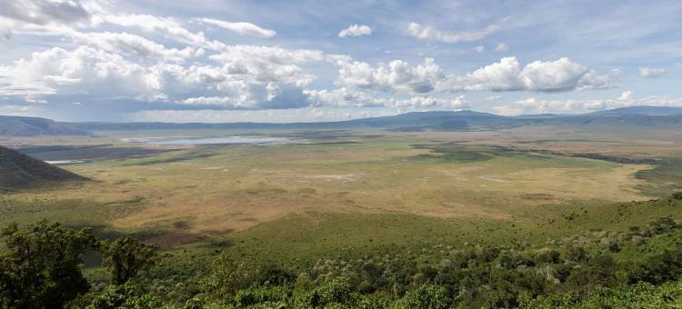 塞伦盖蒂美利亚酒店(Meliá Serengeti Lodge Member of Meliá Collection)图片