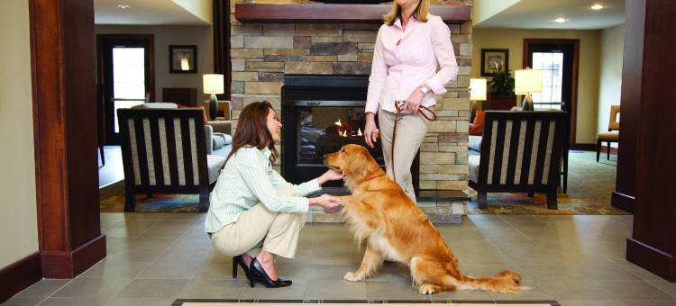 Staybridge Suites 达拉斯 - LAS科利纳斯区 by IHG(Staybridge Suites Irving Las Colinas by IHG)图片