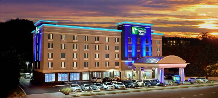 智选假日套房酒店诺克斯维尔(Holiday Inn Express & Suites KNOXVILLE WEST - PAPERMILL DR by IHG)图片