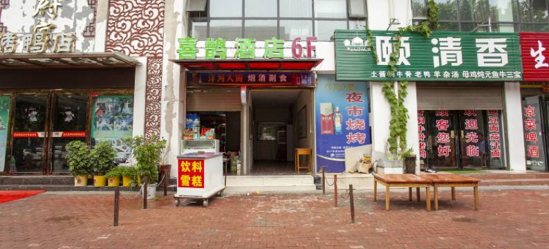 喜鹊艺术酒店(社旗赊店古镇店)图片