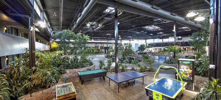 蒙特利尔机场丽笙酒店(Radisson Hotel Montreal Airport)图片