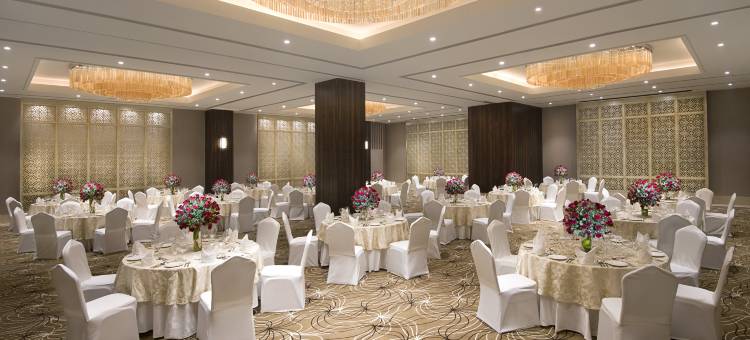 戈勒克布林丽笙酒店(Radisson Blu Gorakhpur)图片