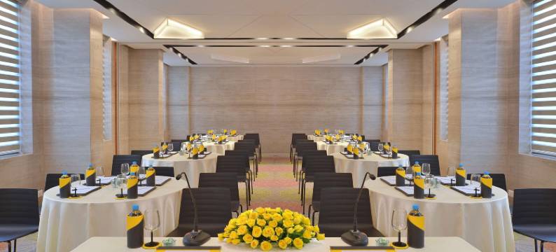 班加罗尔市中心丽笙酒店(Radisson Bengaluru City Center)图片