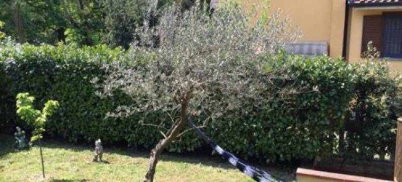 Large Villa up 15 People Near Milan & Rho Fiera图片