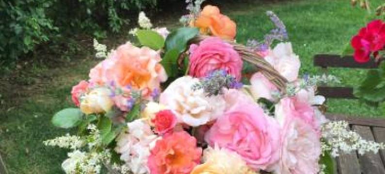 维戈尔索41号乡村民宿(Vigorso 41 Country House)图片