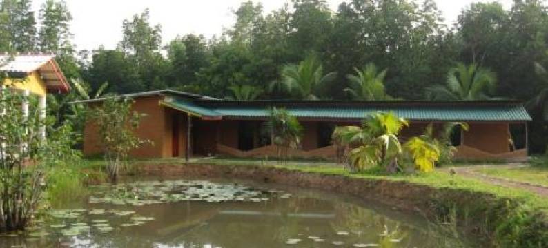 红树林别墅(Mangrove Villa - Yoga & Ayurveda)图片