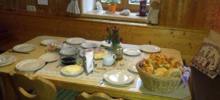 伯格霍夫瑟纳加特农家乐(Berghof Thurnergut)图片