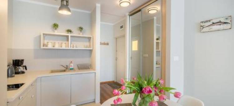 Studio Skwer Kościuszki图片