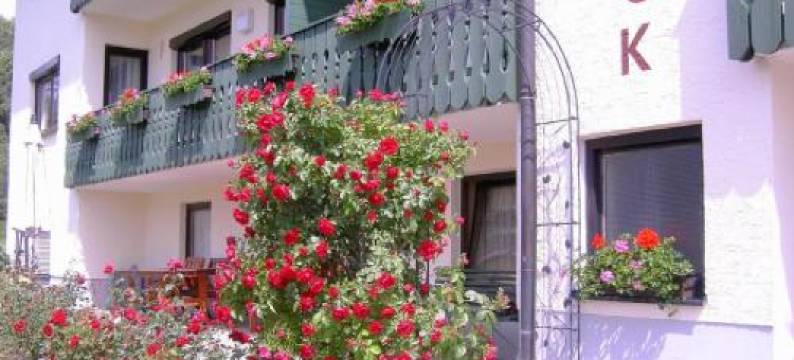 瓦尔布利克旅馆(Pension Waldblick)图片