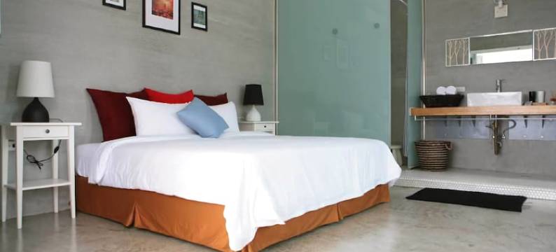 海洋阿帕朵图片