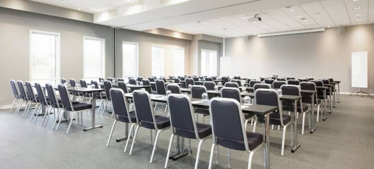 丽笙蓝标酒店-尼达伦奥斯陆(Radisson Blu Hotel Nydalen, Oslo)图片