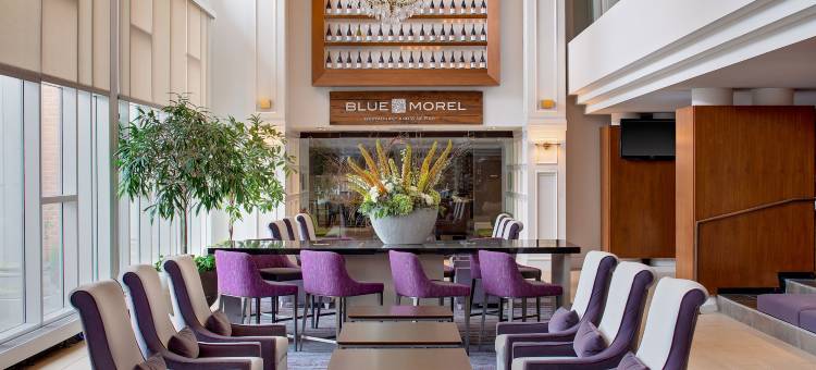 莫里斯敦莫里斯议员威斯汀酒店(The Westin Governor Morris, Morristown)图片