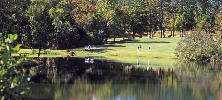 温泉城村洛斯拉各斯温德姆华美达酒店(Los Lagos at Hot Springs Village a Ramada by Wyndham)图片