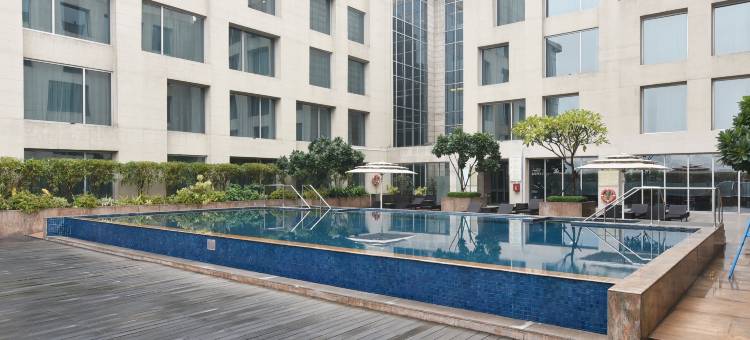 新德里国际机场假日旅馆(Holiday Inn New Delhi International Airport)图片