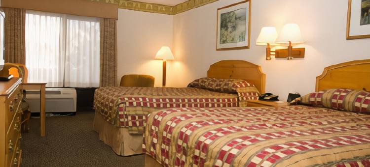 奥林匹克贝斯特韦斯特优质酒店(Best Western Plus Olympic Inn)图片