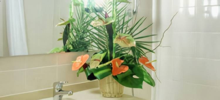 Best Western Plus Gare Saint Jean图片