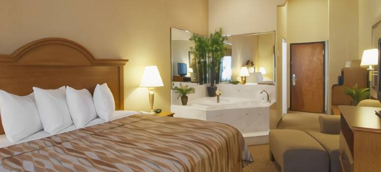 新凯尼贝斯特韦斯特优质套房酒店(Best Western Plus New Caney Inn  Suites)图片