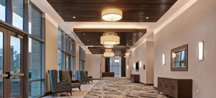 萨默维尔希尔顿花园酒店(Hilton Garden Inn Summerville)图片