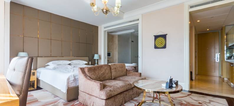 南京奥体主题公馆(河西中央商场店)图片