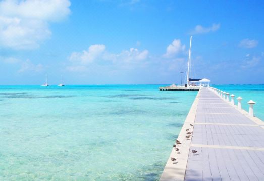 The Westin Grand Cayman Seven Mile Beach Resort & SpaHotel Overview