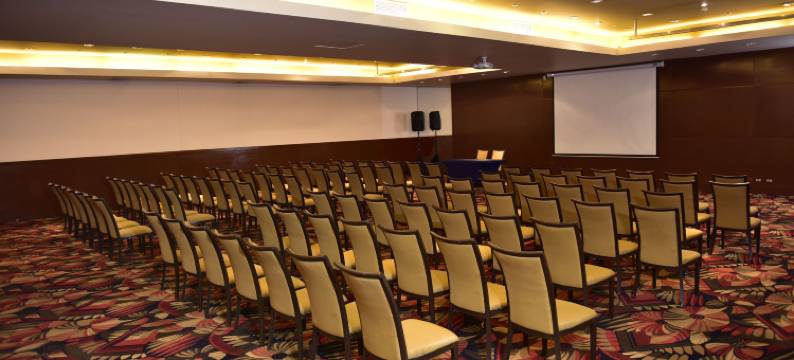 卡拉马 MDS 酒店(DoubleTree by Hilton Hotel Calama)图片