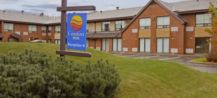 舒适酒店(Comfort Inn)图片