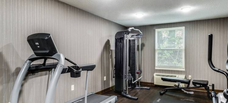 舒适酒店-罗克兰波士顿(Comfort Inn Rockland - Boston)图片