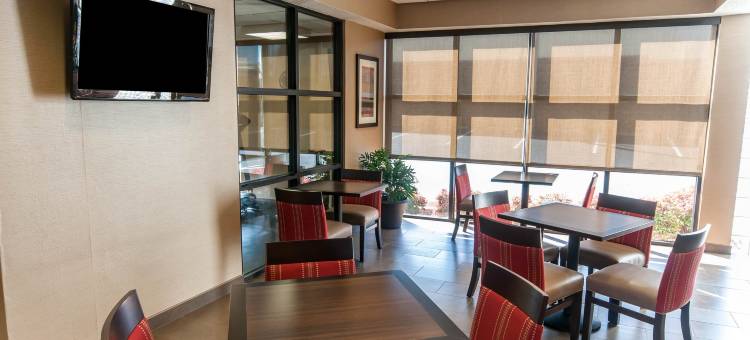 舒适套房酒店(Comfort Inn & Suites)图片