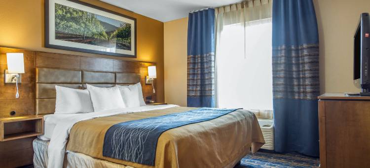 酒店(舒适酒店South San Jose / 摩根山)(Comfort Inn South San Jose - Morgan Hill)图片