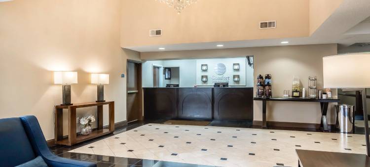 亚特兰大/斯麦纳舒适套房酒店(Comfort Inn & Suites Atlanta-Smyrna)图片