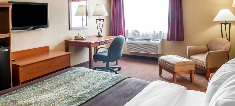 拉斯克鲁塞斯梅斯拉舒适套房酒店(Comfort Inn & Suites Las Cruces Mesilla)图片