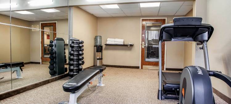 爱迪生新不伦瑞克舒适酒店(Comfort Inn Edison - New Brunswick)图片