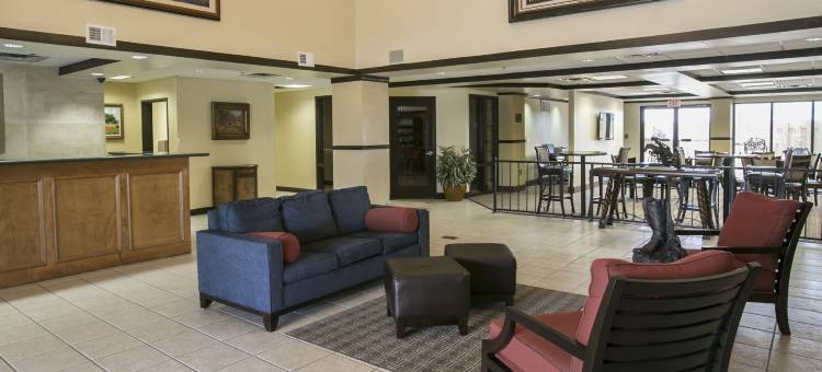 奥斯汀机场舒适套房酒店(Comfort Suites Austin Airport)图片