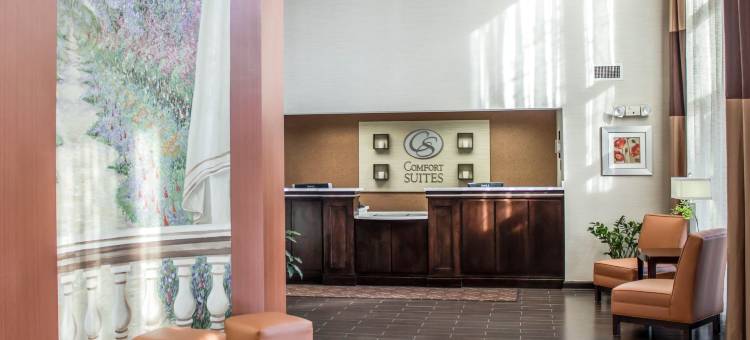 摄政公园舒适套房酒店(Comfort Suites Regency Park)图片