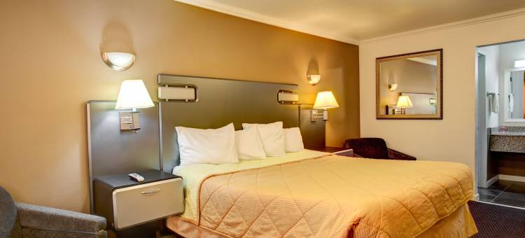 德里夫特伍德酒店(Driftwood)图片