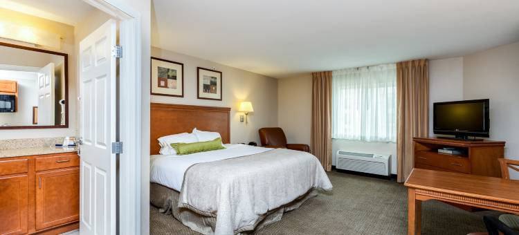 滑铁卢郊区开间公寓(Suburban Studios Waterloo)图片