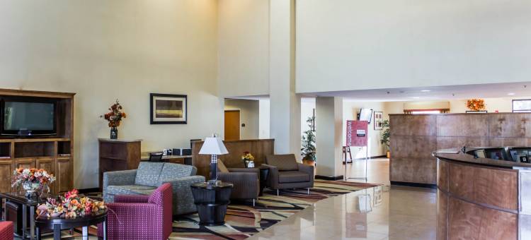 克莱顿加纳舒适套房酒店(Comfort Suites Clayton - Garner)图片